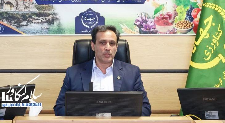 کرمانشاه پیشگام اجرای هوش مصنوعی در کشاورزی است